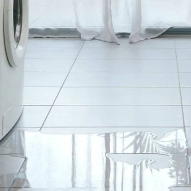 Appliance Leak Cleanup in Houston, MO