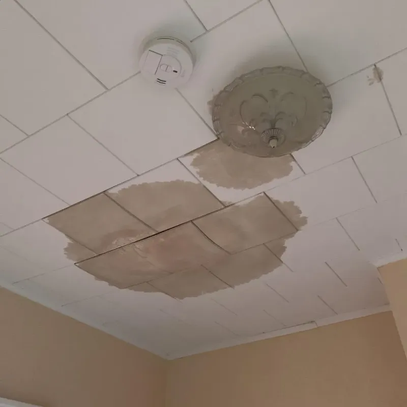 Ceiling Water Damage Repair in Houston, MO