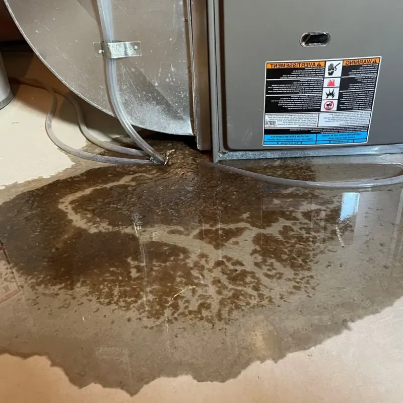 Pipe Burst and Leak Restoration in Houston, MO
