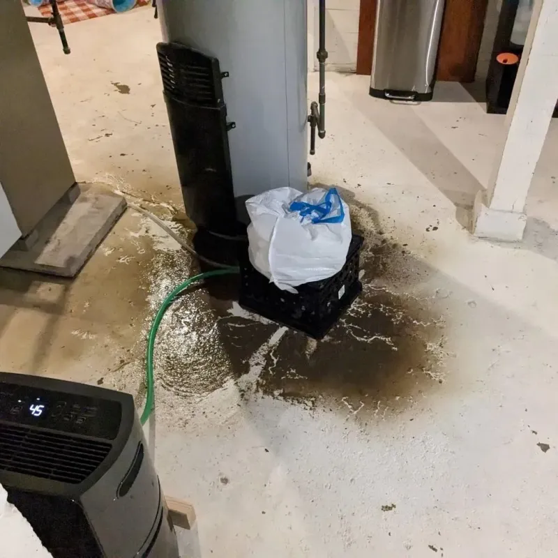 Sewage Backup Cleanup Service in Houston, MO